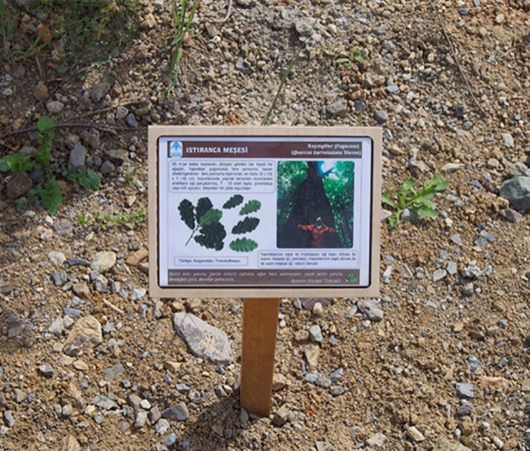 Eğitim